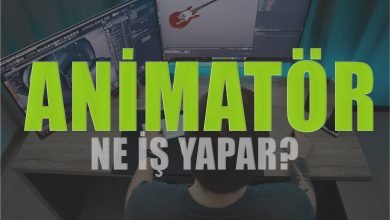 animatorler ne is yapar